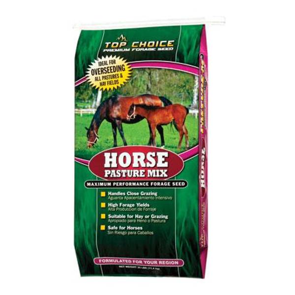 Top Choice Horse Pasture Mix Premium Forage Seed